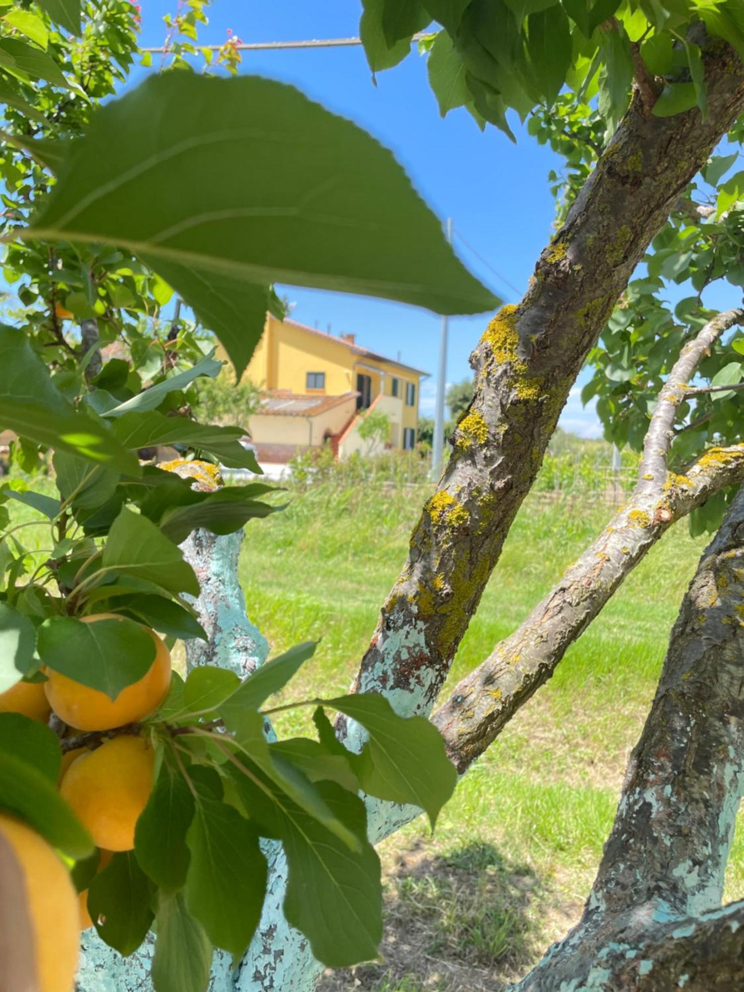 Il Leccio Agriturismo Фьорино Экстерьер фото