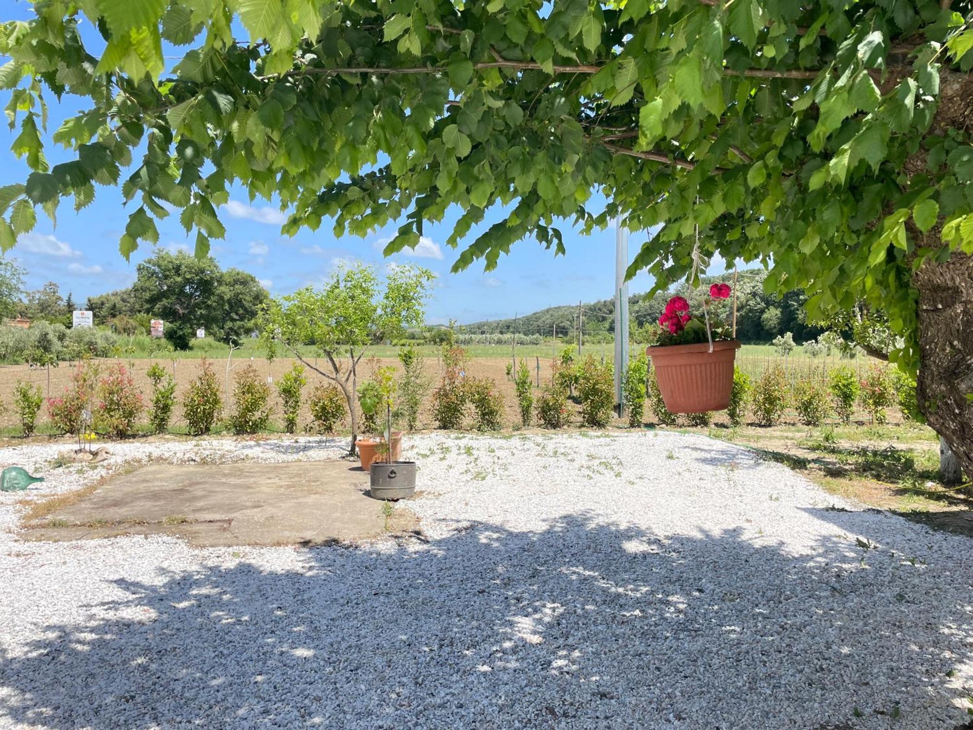 Il Leccio Agriturismo Фьорино Экстерьер фото