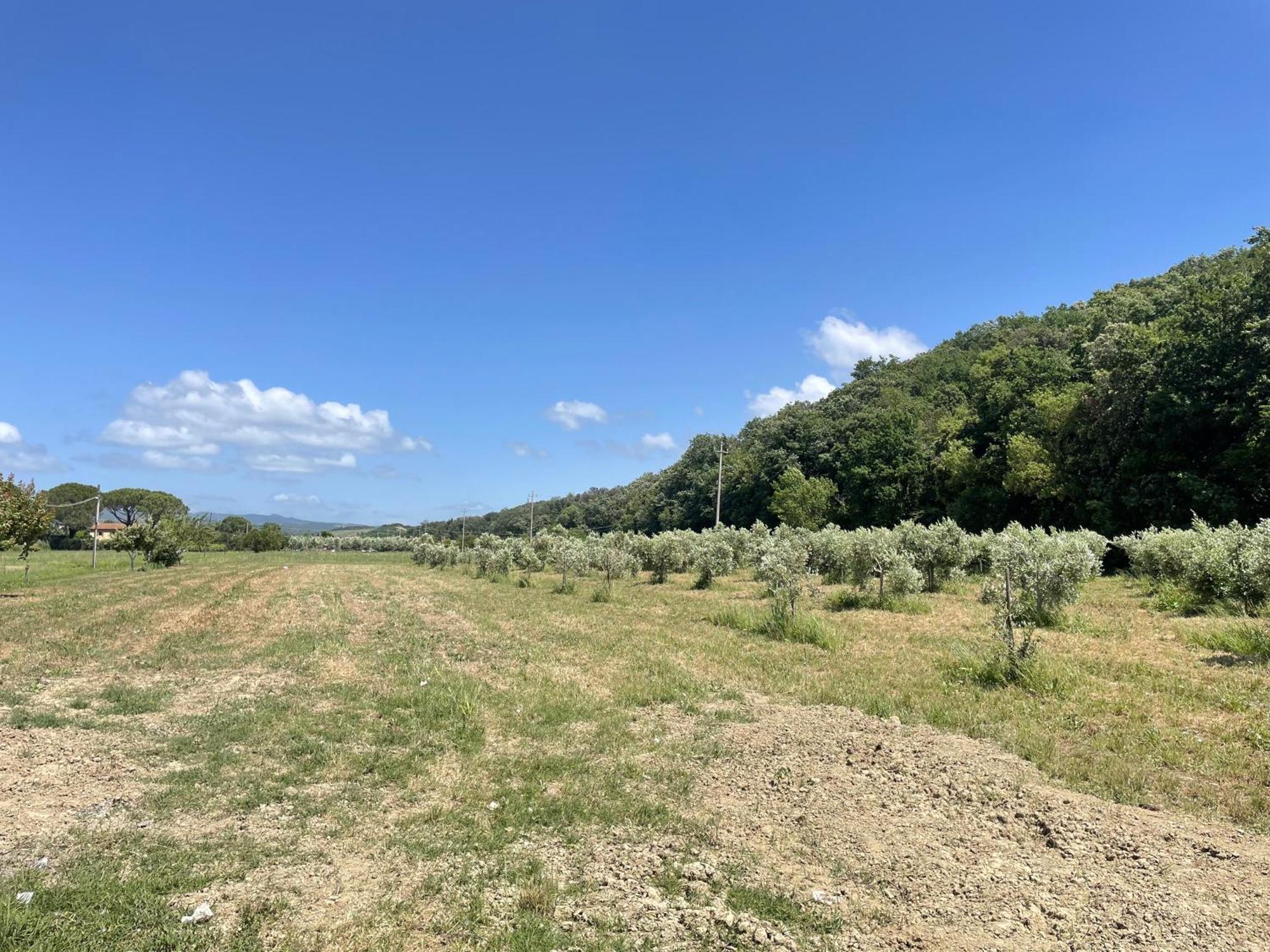 Il Leccio Agriturismo Фьорино Экстерьер фото