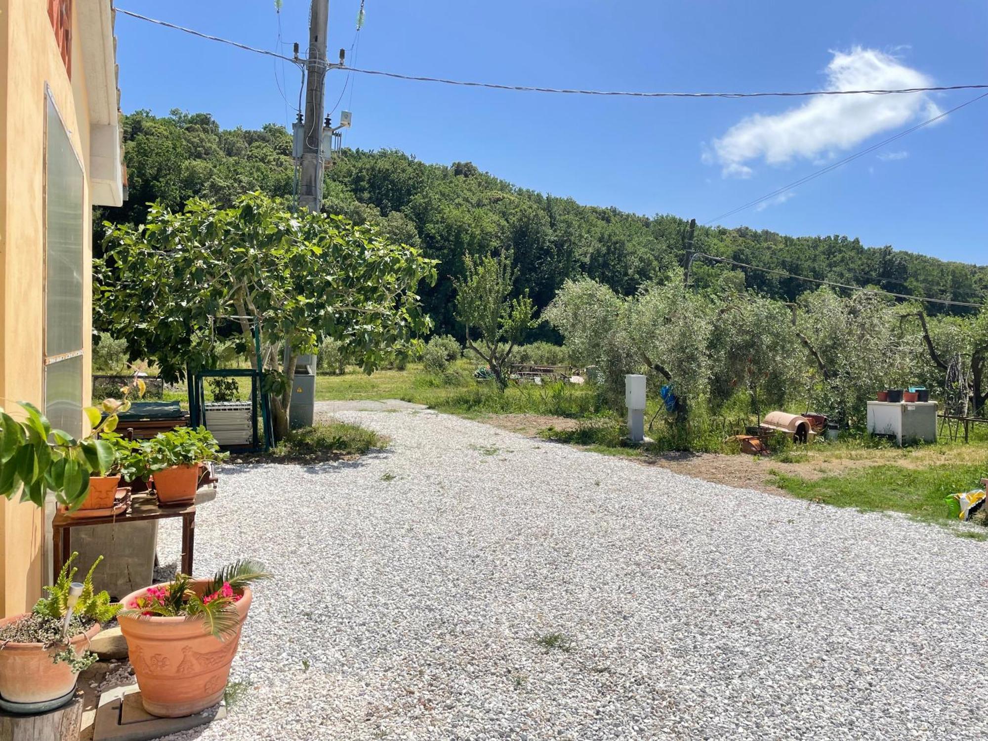 Il Leccio Agriturismo Фьорино Экстерьер фото