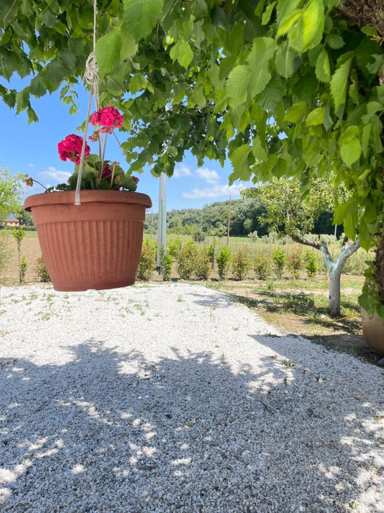 Il Leccio Agriturismo Фьорино Экстерьер фото
