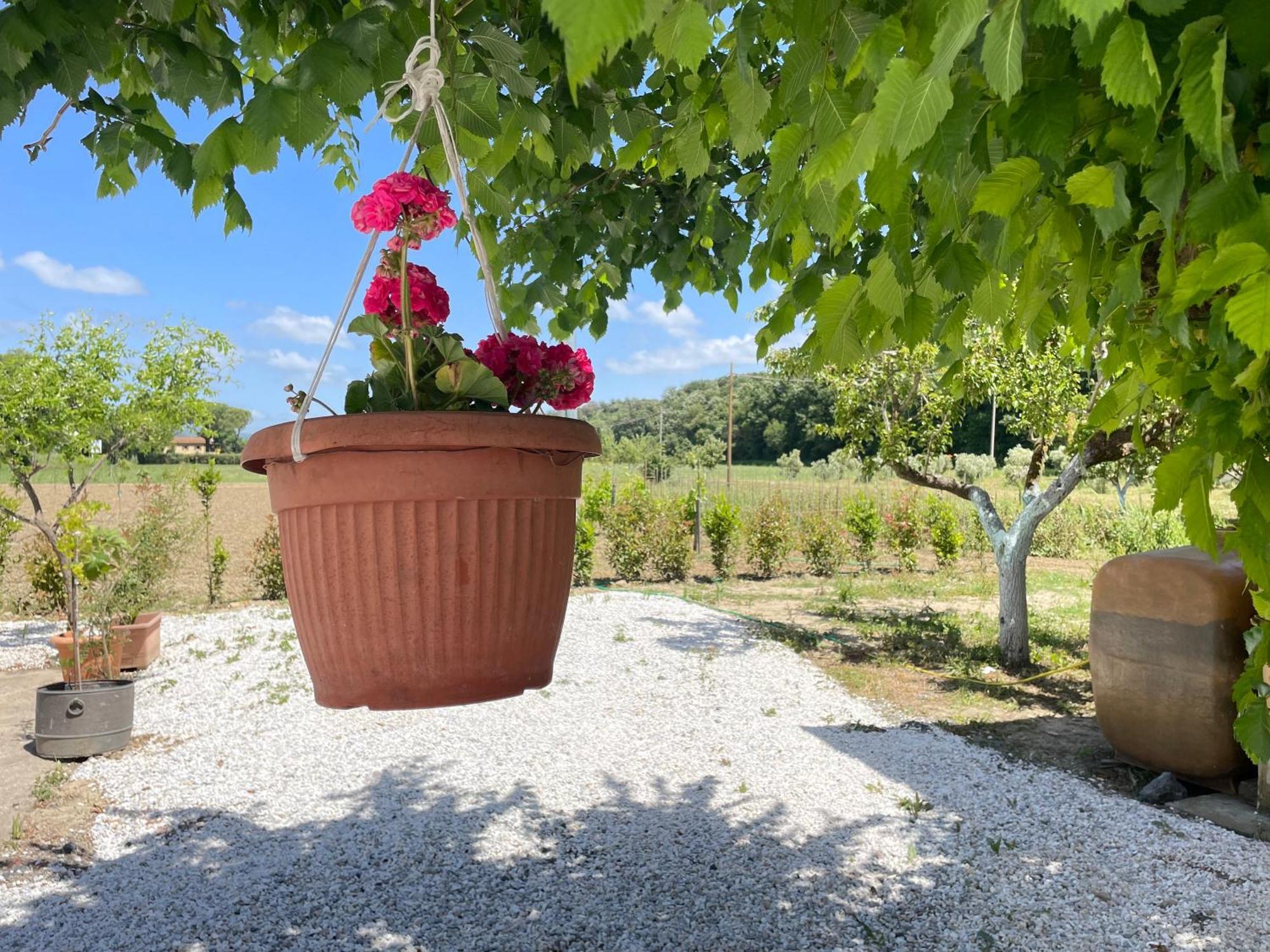 Il Leccio Agriturismo Фьорино Экстерьер фото