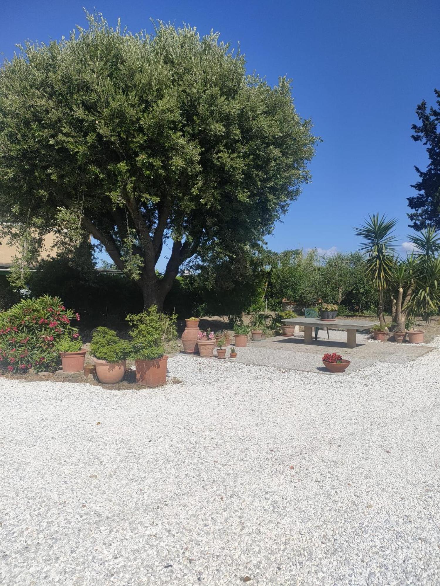 Il Leccio Agriturismo Фьорино Экстерьер фото